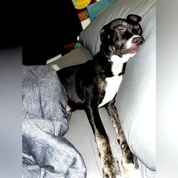 Moi - Picture 2 of 6